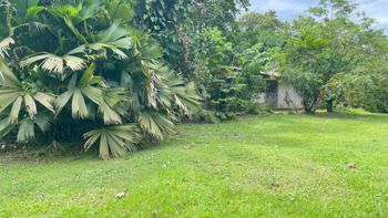 Lote en Venta en La Colonia de Guápiles | 3.149 m² de Naturaleza en Guápiles, Pococí, Limón — 37 000 000 ₡ - Foto 3 de 20