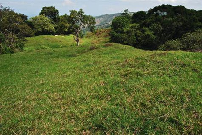 Esta finca de catorce hectáreas está situada en las afueras de Atenas. in Atenas, Alajuela — $990,000 - Photo 2 of 15