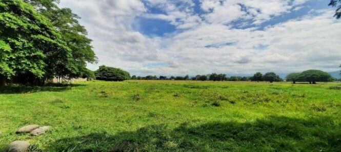Se vende amplio lote de 7.5 hectáreas en Miramar Puntarenas 23-3495 in Miramar, Montes De Oro, Puntarenas — $3,784,100