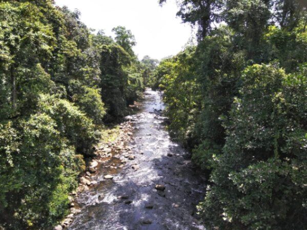 Finca para desarrollo turistico in Germania, Siquirres, Limón — $420,000