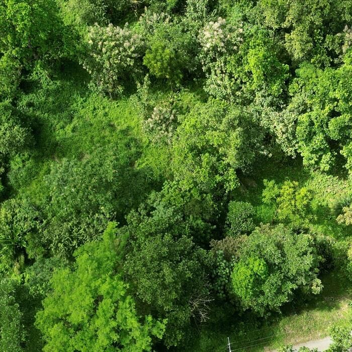 LAND FOR SALE IN NARANJITO, QUEPOS en Naranjito, Quepos, Puntarenas — $300,000