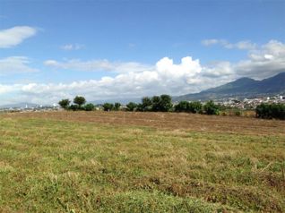 Perfect development property in La Asunción, Belén, Heredia — $395,000 - Photo 5 of 8