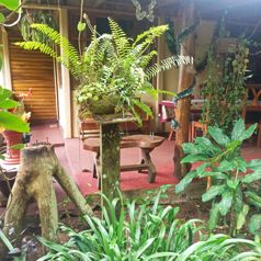 Terreno con casa y 4 apartamentos en Pital, San Carlos, Alajuela — ₡ 56 000 000 - Foto 2 de 15