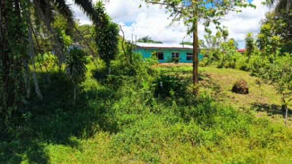 EN VENTA - TERRENO LISTO PARA CONSTRUIR EN UBICACION ESTRATEGICA in Cajón, Pérez Zeledón, San José — ₡ 5 000 000