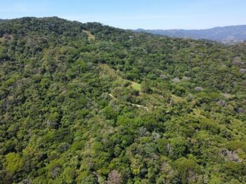 Se vende amplio lote de 36.2 hectáreas en Colon de Mora 25-1322 in Colón, Mora, San José — $5,500,000 - Photo 5 of 13