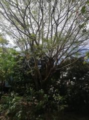 Lote en Santa Ana para Desarrollador en Pozos, Santa Ana, San José — $1,614,080 - Foto 3 de 10