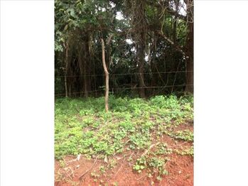 VENTA DE LOTE, GUANACASTE, SANTA CRUZ, OSTIONAL en Cuajiniquil, Santa Cruz, Guanacaste — $275,000 - Foto 5 de 5