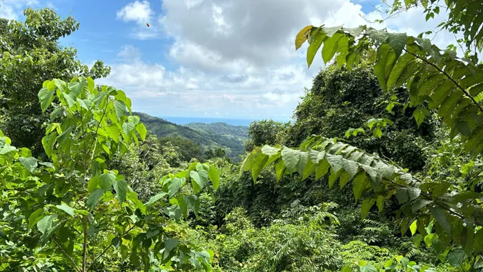 Venta de lote en la playa para desarrollar proyecto en Garabito en Tárcoles, Garabito, Puntarenas — $700,000 - Foto 3 de 8