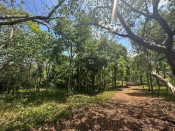 Se vende amplia propiedad con 18,900m2 en San Rafael de Puriscal 24-1482 en San Rafael, Puriscal, San José — $600,000 - Foto 5 de 13
