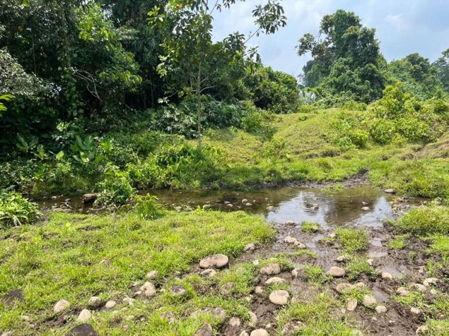 SE VENDE BELLA FINCA EN SAN RAFAEL DE GUÁPILES. en Guápiles, Pococí, Limón — ₡ 208 000 000