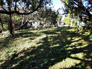 VENTA DE TERRENO 1000 M², SAN MATEO, ALAJUELA in Labrador, San Mateo, Alajuela — $55,000 - Photo 2 of 4