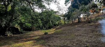Hermosa Quinta Junto al Río en San Ramón, Alajuela — 40 000 000 ₡ - Foto 4 de 22