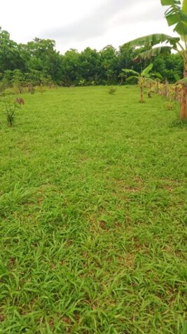 Terreno en Venta en Finca 2, Río Frío Sarapiquí – 1000 m² en La Virgen, Sarapiquí, Heredia — ₡ 11 000 000