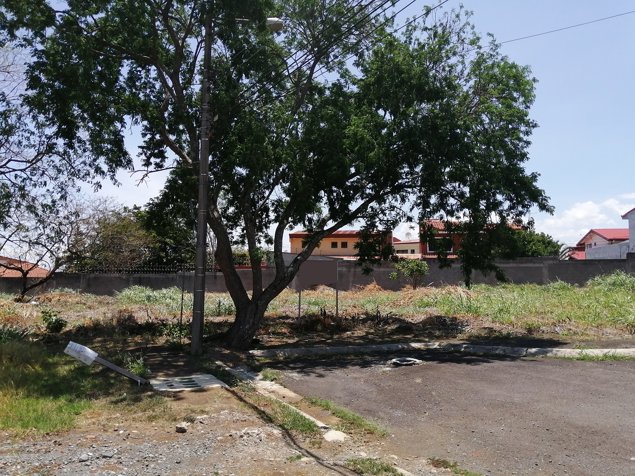 Lote en venta en San Pablo, Heredia. Desarrollo viviendas. 5PVV9545360 in Vara Blanca, Heredia — $335,000