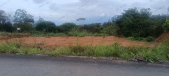 SE VENDEN DE OPORTUNIDAD BELLOS LOTES EN CAJÓN DE PÉREZ ZELEDÓN.  in Cajón, Pérez Zeledón, San José — ₡ 6 288 000