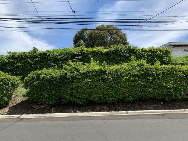 VENTA TERRENO DE DESARROLLO USO MIXTO, HEREDIA, MERCEDES en Mercedes, Heredia — $3,651,705
