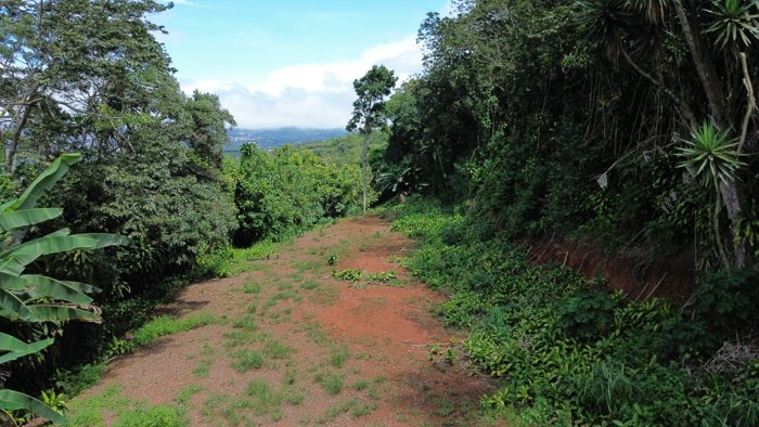 VENTA DE LOTE, LA CIMA DE SAN RAMÓN, ALAJUELA in San Ramón, Alajuela — ₡ 62 000 000 - Photo 3 of 17