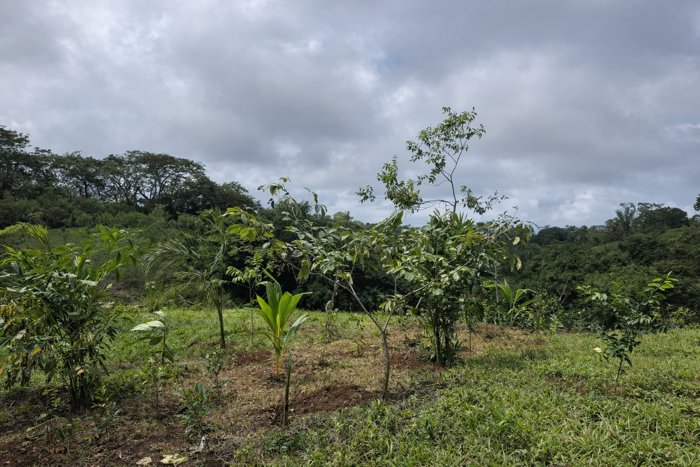 Lote Residencial de 5,000 m² en San Isidro in San Isidro, Montes De Oro, Puntarenas — $165,000