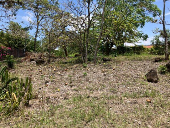 SE VENDE BELLA PROPIEDAD PARA INVERSIÓN EN ATENAS.  in Atenas, Alajuela — ₡ 38 000 000