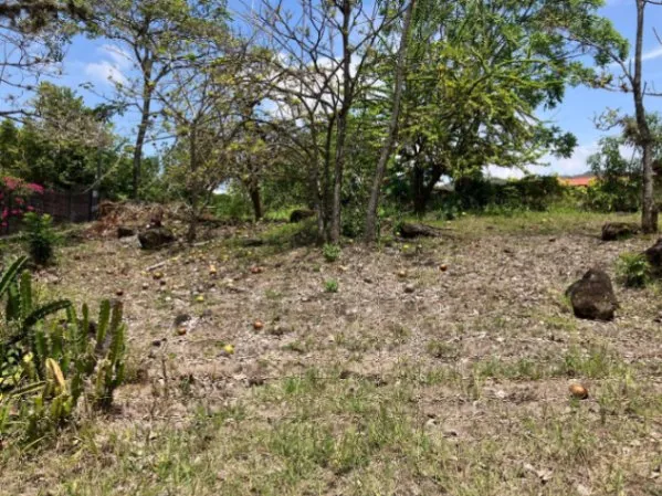 SE VENDE BELLA PROPIEDAD PARA INVERSIÓN EN ATENAS.  in Atenas, Alajuela — ₡ 38 000 000 - Photo 3 of 12