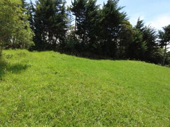 Venta de Lote en San José-Montana, Heredia. RAH 23-326 en San José de La Montaña, Barva, Heredia — 130 000 000 ₡ - Foto 4 de 10