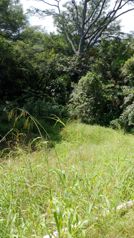 Large mixed use 22,346m2 lot close to the new and old highways in Atenas, Alajuela — $560,000 - Photo 5 of 5