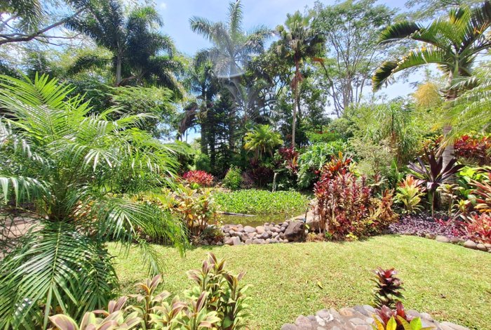 Propiedad con 2 habitaciones y casa de invitados en Atenas en Santa Eulalia, Atenas, Alajuela — $648,000 - Foto 3 de 21