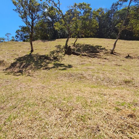 Se vende lote, gran oportunidad en Piedades Sur, San Ramòn en Piedades Sur, San Ramón, Alajuela — ₡ 32 000 000 - Foto 2 de 12