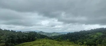 📍Hermosa finca de 79 hectáreas en Sierpe de Osa📍  