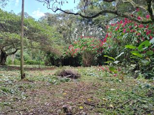 Lote en venta en Rosario de Naranjo in El Rosario, Naranjo, Alajuela — $80,000 - Photo 4 of 12