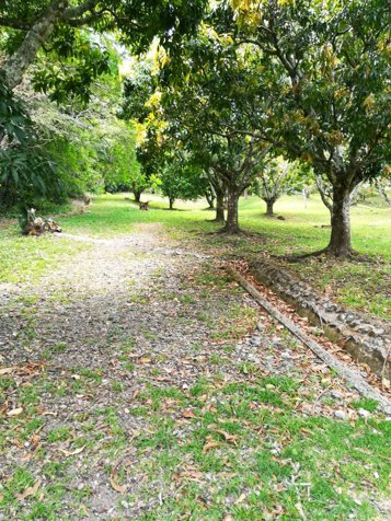 Se Vende Finca 31801 m2, Santa Ana in Uruca, Santa Ana, San José — $1,115,000