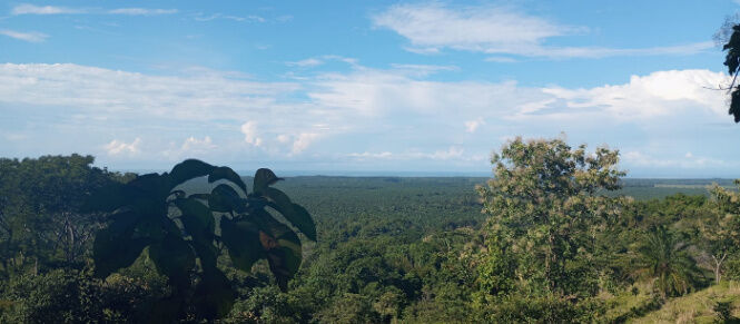 Finca 95 hectáreas a 15 minutos del centro de Quepos en Quepos, Puntarenas — $1,500,000