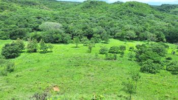 Finca En Venta, La Cruz, Guanacaste - Foto 2 de 3