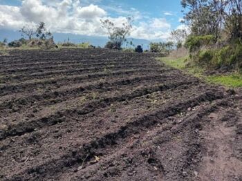 Venta de Lote en Oreamuno-Cartago. RAH 26-480 en Cot, Oreamuno, Cartago — $63,000 - Foto 4 de 12