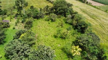 EN VENTA OPORTUNIDAD: 3,497 M² PLANOS Y FÉRTILES in San Isidro De El General, Pérez Zeledón, San José — $80,000 - Photo 5 of 15