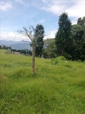 Finca con hermosa vista in Llano Grande, Cartago — ₡ 81 000 000 - Photo 3 of 13