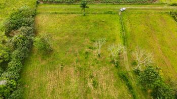 Lotes con excelente vista al Volcán y Bosque con exuberante fauna  en La Fortuna, San Carlos, Alajuela — 63 900 000 ₡ - Foto 4 de 5