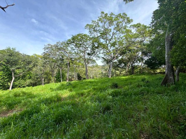 Finca Chineo frente a calle pública en Eco Lagarto en Santa Cruz, Guanacaste — $99,000