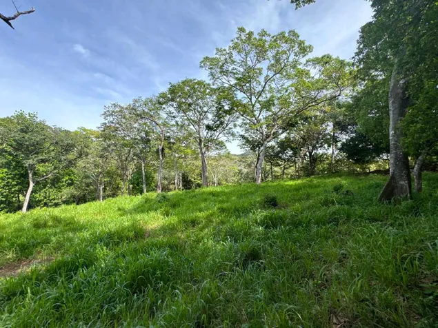 Finca Chineo frente a calle pública en Eco Lagarto in Santa Cruz, Guanacaste — $99,000