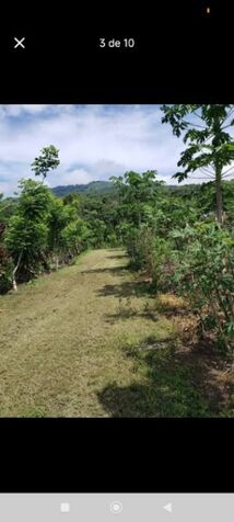 finca en pejibaye perez zeledon  en San Isidro De El General, Pérez Zeledón, San José — ₡ 55 000 000