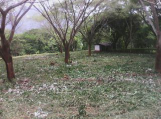 Terreno para quinta en Orotina, 6800m2 in Orotina, Alajuela — $136,000 - Photo 2 of 4
