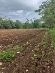 finca con potencial de siembra y construcción en La Fortuna, San Carlos, Alajuela — $223,800 - Foto 4 de 6