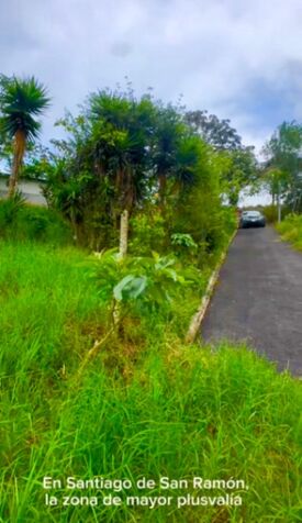 PRECIOSO LOTE EN VENTA EN SANTIAGO, SAN RAMON, ALAJUELA en Santiago, San Ramón, Alajuela — ₡ 18 000 000