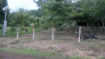 Venta de Lote en Miramar-Montes de Oro, Puntarenas. RAH 26-249 en Miramar, Montes De Oro, Puntarenas — $76,000 - Foto 5 de 10