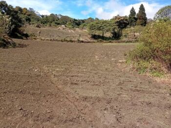 terreno 6203m2  Jaules de Cot in Cot, Oreamuno, Cartago — 32 000 000 ₡ - Photo 4 of 13