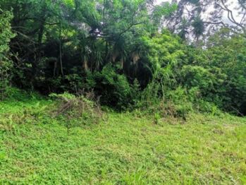 Se vende amplio lote de 1,252m2 en San Rafael Escazú 23-151 in San Rafael, Escazú, San José — $231,620 - Photo 4 of 19