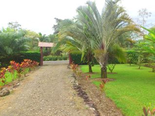 Hermosa Quinta en Sarapiqui en Puerto Viejo, Sarapiquí, Heredia — $95,000 - Foto 4 de 11