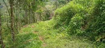 SE VENDE ESPECTACULAR FINCA EN PÉREZ ZELEDÓN.  en San Pedro, Pérez Zeledón, San José — 225 000 000 ₡ - Foto 5 de 20