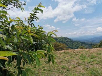 Venta de Lote en Orotina de Alajuela. RAH 23-1656 en Orotina, Alajuela — $59,697 - Foto 5 de 12