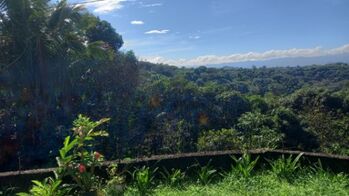Se vende propiedad con tres casas, en Alto Castro, Grecia. en Grecia, Alajuela — $220,000 - Foto 5 de 14